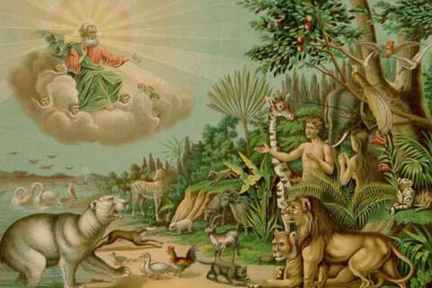 Яблуко, яке скуштували Адам і Єва в Едемському саду відкрило їм здатність судити...